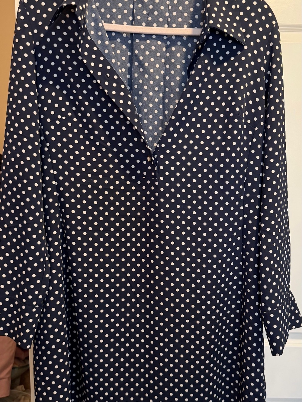 Zara Navy Blue Polka Dot Long Sleeve Dress - Picture 3 of 3